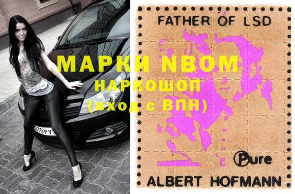 индика Сатка