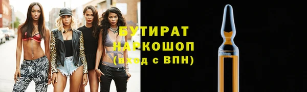 индика Сатка