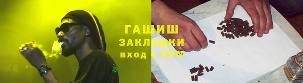 индика Сатка