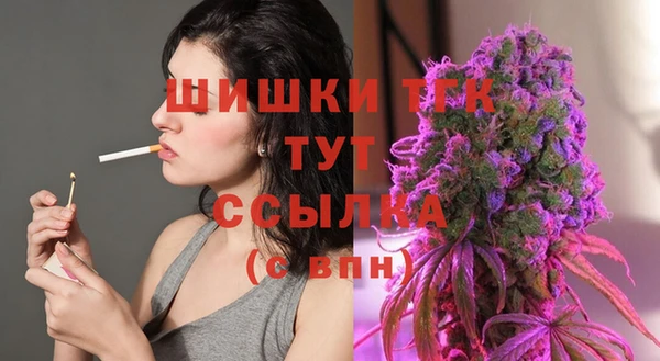 индика Сатка